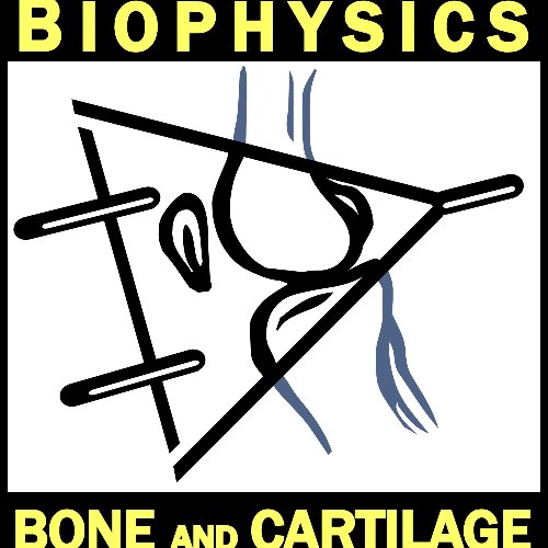 Biophysics of Bone and Cartilage (BBC)´s Profile image