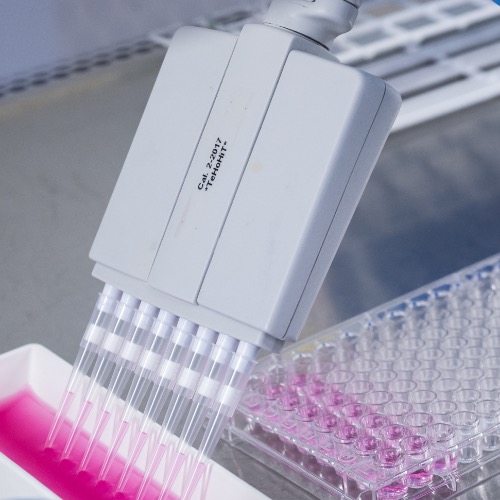 Immuno-Oftalmologia profiilikuva nro 3