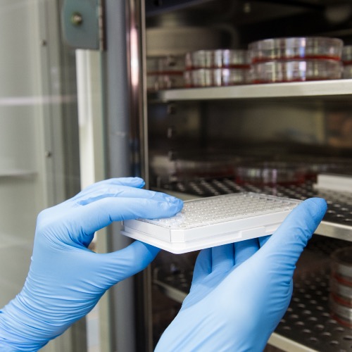 Immuno-Oftalmologia profiilikuva nro 2