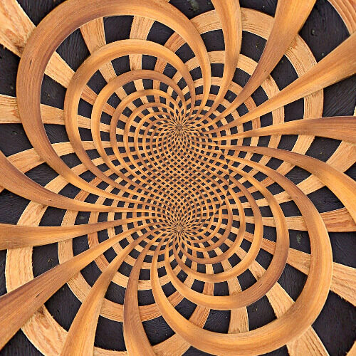 Wood Materials Science´s Profile image