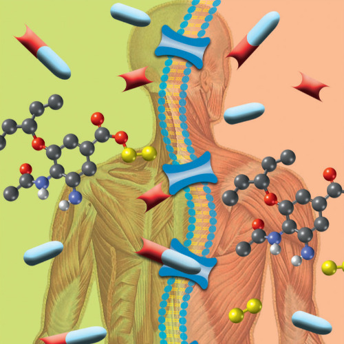 Image:  Prodrugs and Drug Delivery