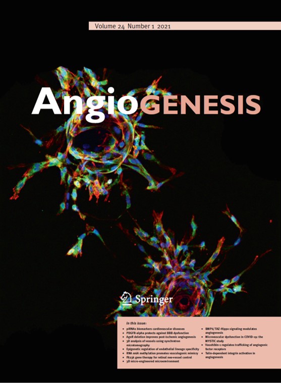Cover image in Angiogenesis journal