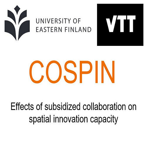 Effects of subsidized collaboration on spatial innovation capacity (COSPIN) profiilikuva