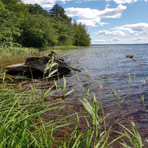 Teollinen metsäbiotekniikka ja biojalostus (InBio) profiilikuva