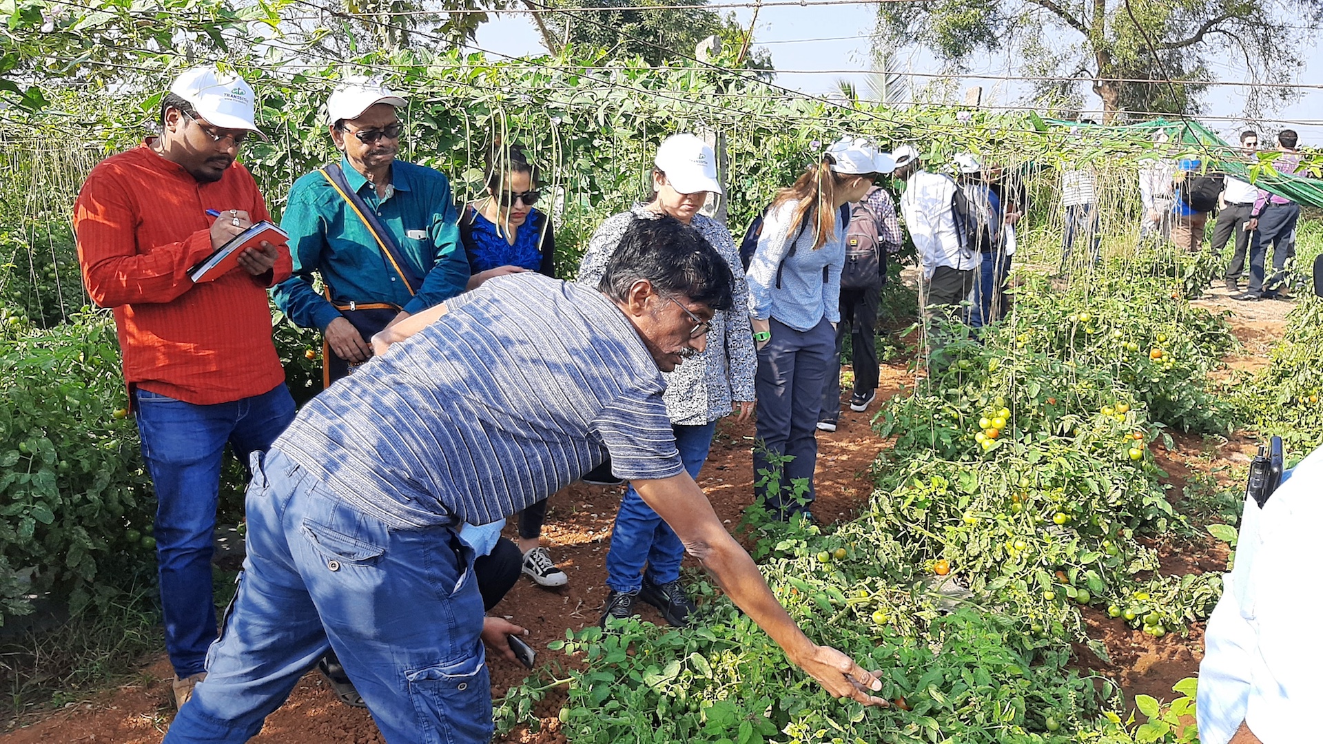 From the Field: Visit to farmlands and agri-supply-chain nodal points for identifying pre and post harvest food loss and waste (Funded project TRANSSITioN)