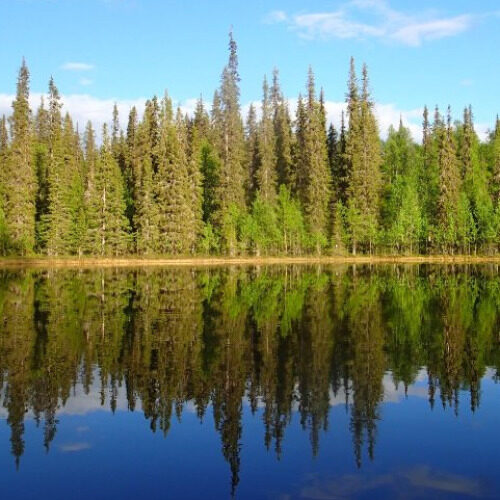 Biogeokemian tutkimusryhmä profiilikuva