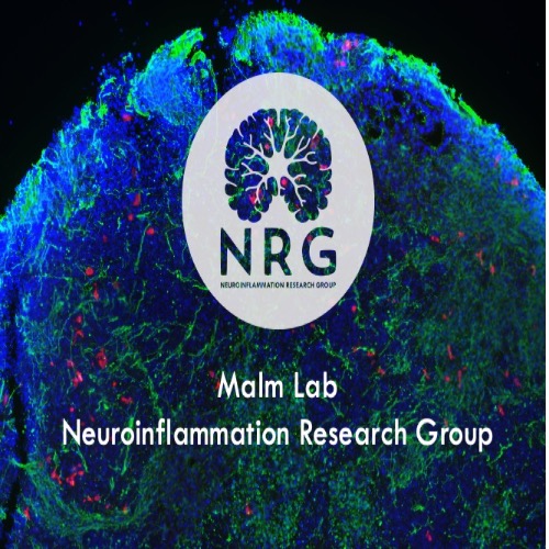 Image of  Neuroinflammation research group