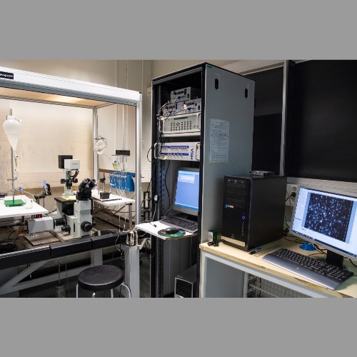 Image of  In vitro ja ex vivo elektrofysiologian keskus