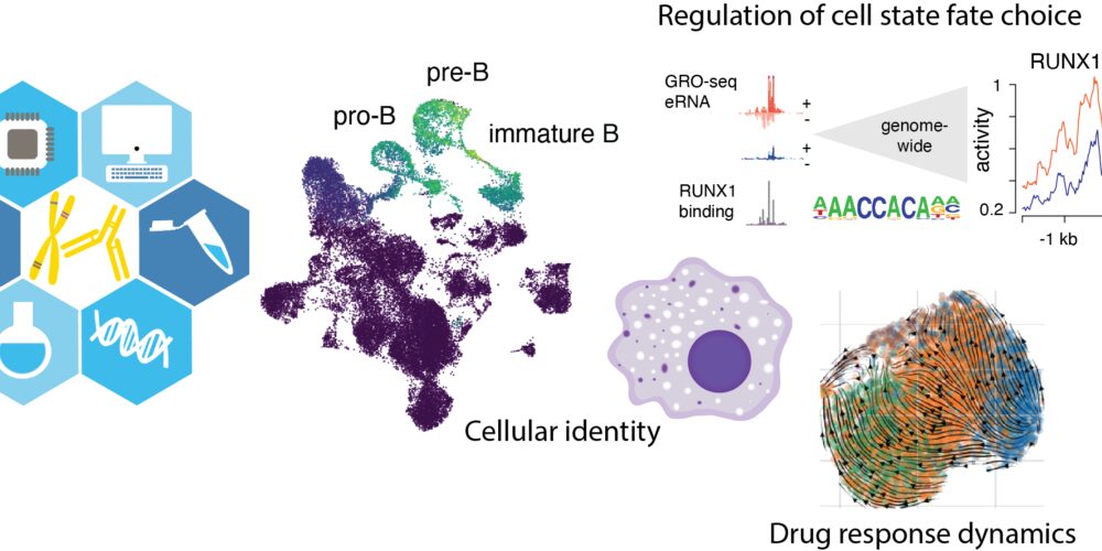 Introducing image of the groupSystems Genomics - Heinäniemi lab