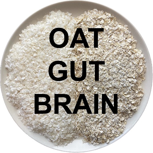 Image of  Oat-Gut-Brain-tutkimus