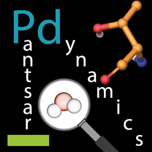 Pantsar dynamics profiilikuva