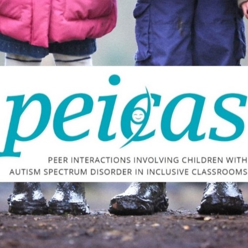 Image:  PEICAS: Peer Interactions involving Children with Autism Spectrum disorder in inclusive classrooms
