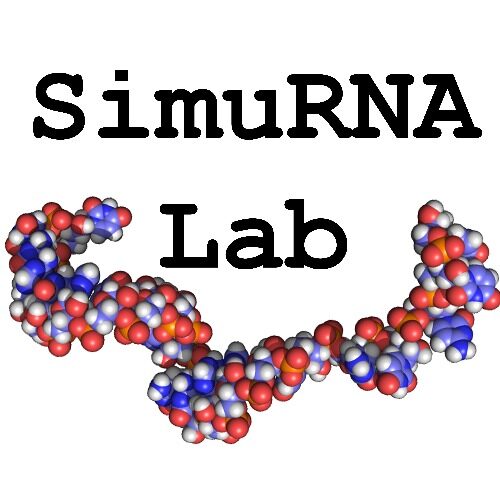 SimuRNA Lab profiilikuva