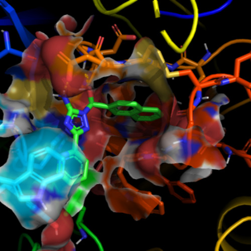 Image of  Molekyylimallinnuksen ja lääkeainesuunnittelun tutkimusryhmä
