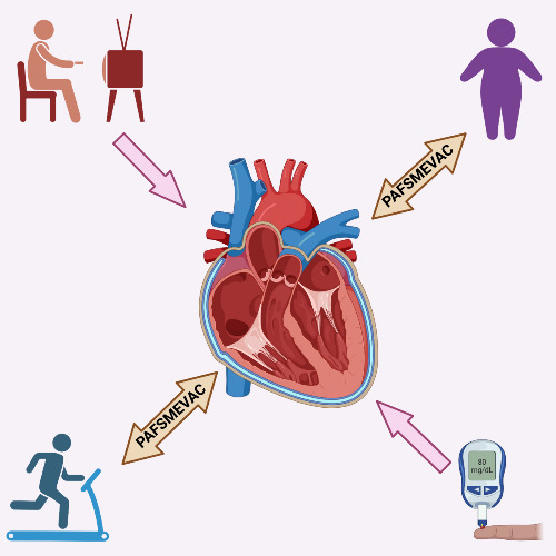 Image:  Physical Activity, Fitness, and Sedentariness with MEtabolic, VAscular, and Cardiac health in pediatric population (PAFSMEVAC)