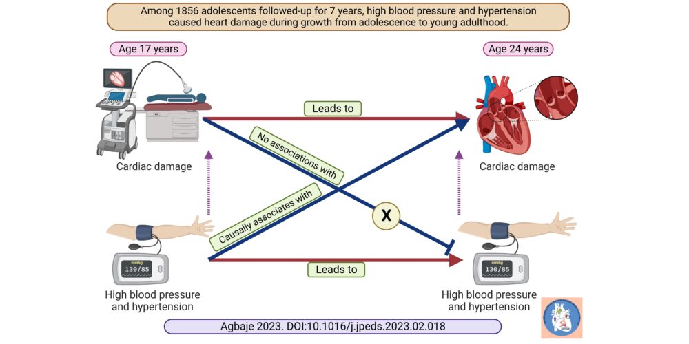 Introducing image of the groupPhysical Activity, Fitness, and Sedentariness with MEtabolic, VAscular, and Cardiac health in pediatric population (PAFSMEVAC)