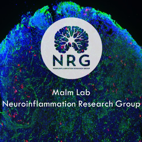 Neuroinflammation research group´s Profile image