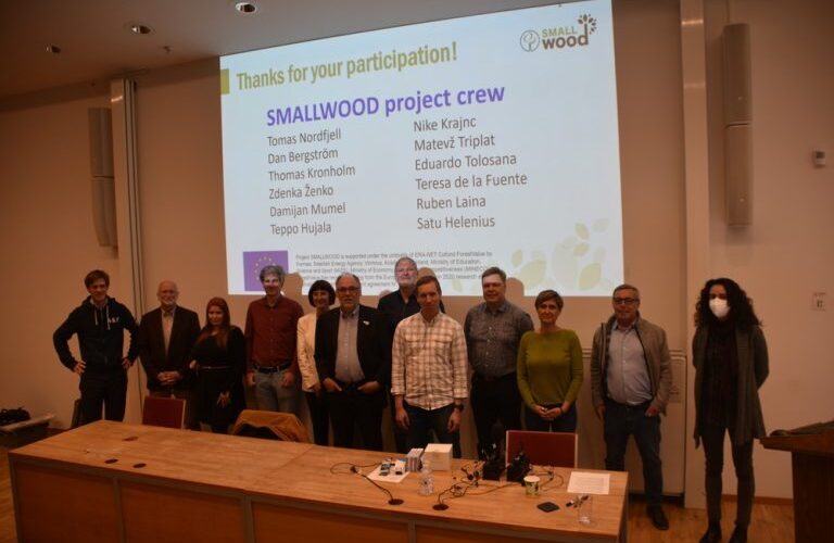Introducing image of the groupSMALLWOOD-project
