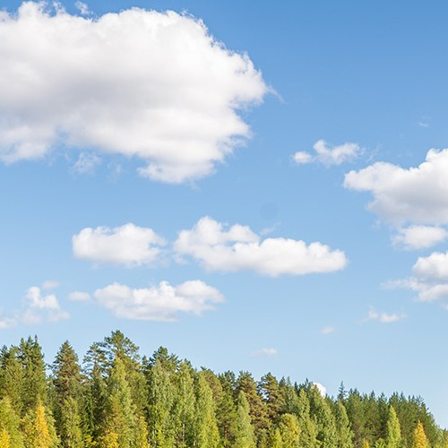 Image of  Tuulivoiman hyväksyttävyyden nykytila ja näkymät Suomessa