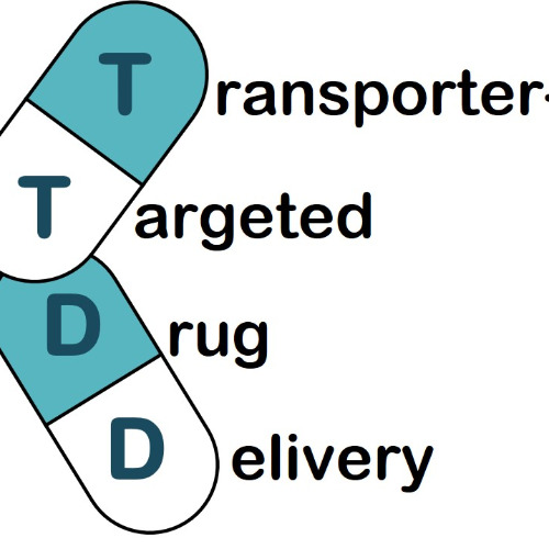 Transporter-Targeted Drug Delivery´s Profile image