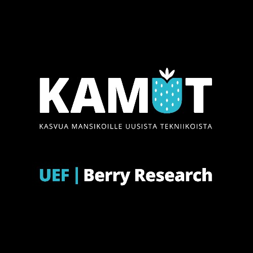 Image:  KAMUT - Growth for strawberries from new technologies