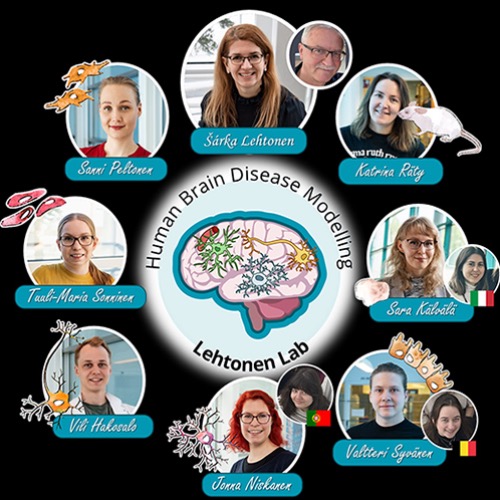 Image of  Human Brain Disease Modelling (Lehtonen lab)