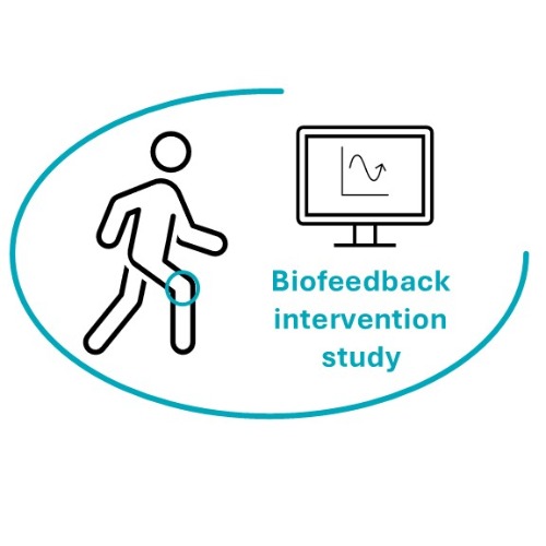 Image of  Reaaliaikainen biopalautteenantointerventio polven ruston laadun parantamiseen ikäihmisillä