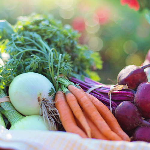 Image of  FOODNUTRI – kestävää ruoka- ja ravitsemustutkimusta