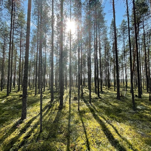 Image of  UNITE GEOKÄTKÖ -TUTKIMUSPROJEKTI