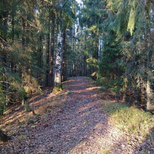 Murroskohtia: Laadullinen pitkittäistutkimus nuorista 2000-luvun maaseudulla profiilikuva