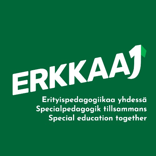 Image of  Erkkaa yhdessä (Erkkaa1), Kansallinen erityispedagogiikan koulutusten kehittäminen