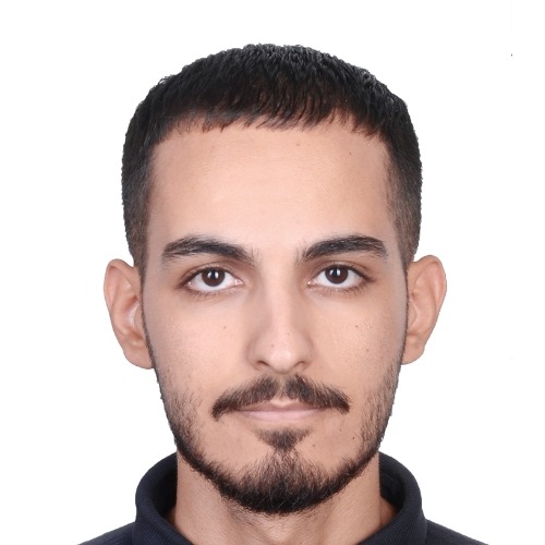 Image:  Siamak  Bahrami