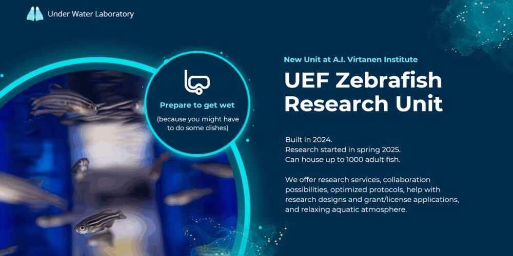 Esittelykuva ryhmästä Seeprakalatutkimusyksikkö