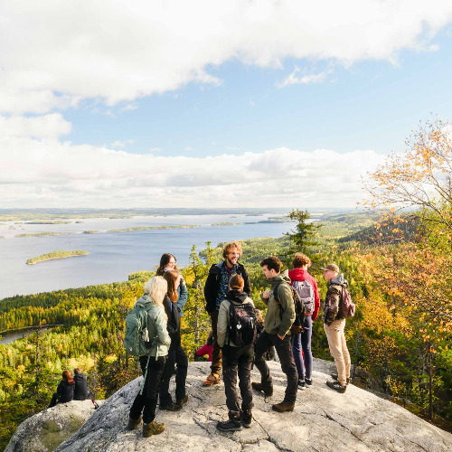 METSÄKSI - Bridging the forestry Finnish language gap´s Profile image