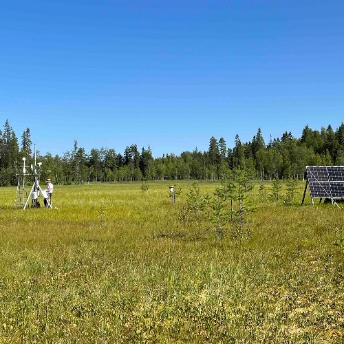 Image of  Forpeat: Metsäturvemaan ekosysteemin arviointi ja ennallistaminen hiilensidonnan, luonnon monimuotoisuuden ja veden laadun parantamiseksi