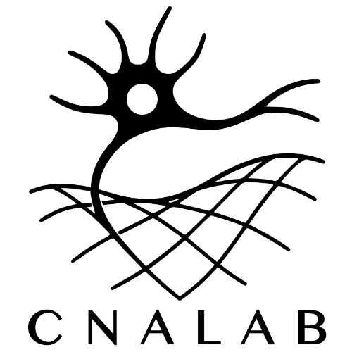 Image of  Computational Neuroanatomy Lab