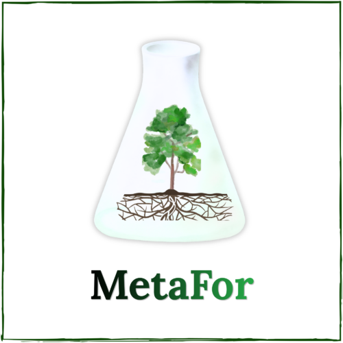MetaFor - Monipuolisten metsäbiomassojen kasvimetaboliittien hyödyntämätön potentiaali edistämässä kestävää biotaloutta ja hiilinieluja profiilikuva