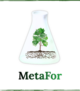 Image of  MetaFor – Monipuolisten metsäbiomassojen kasvimetaboliittien hyödyntämätön potentiaali edistämässä kestävää biotaloutta ja hiilinieluja