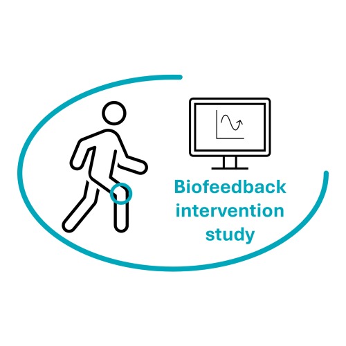 Image of  Reaaliaikainen biopalautteenantointerventio polven ruston laadun parantamiseen ikäihmisillä