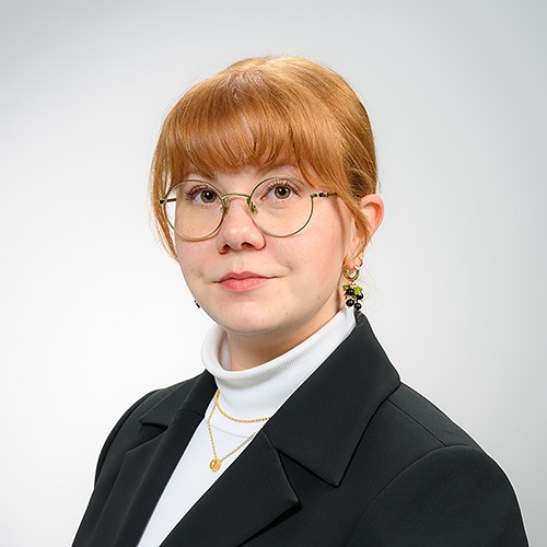 Image:  Meiju  Welling