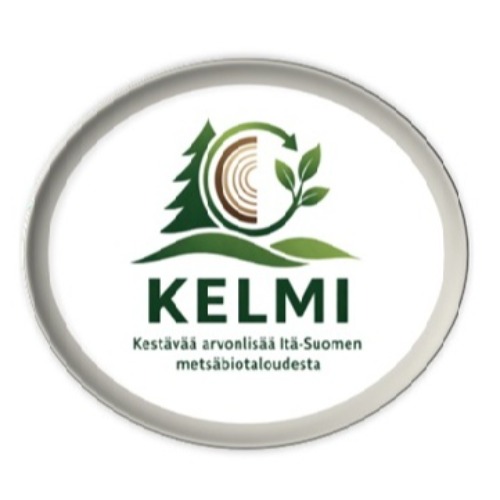 Image of  KELMI – Kestävää arvonlisää Itä-Suomen metsäbiotaloudesta