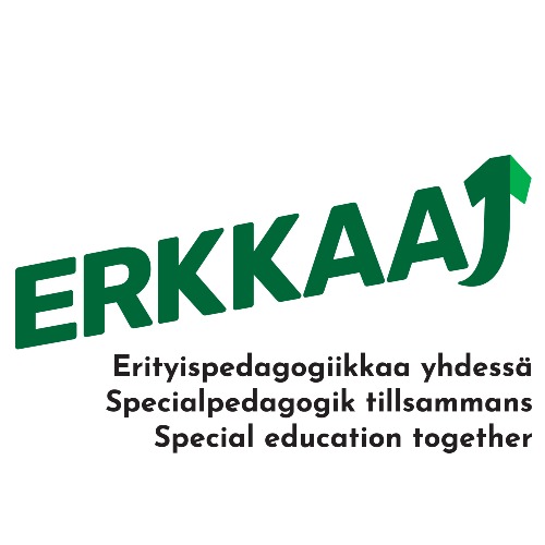 Image of  Erkkaa yhdessä (Erkkaa1), Kansallinen erityispedagogiikan koulutusten kehittäminen