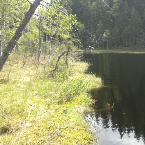 Example Project´s Profile image