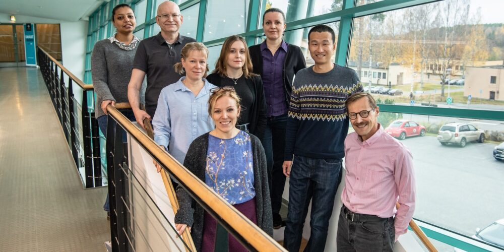 Introducing image of the groupNeurobiology of Memory