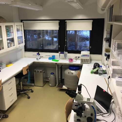 Evoluutio- ja lisääntymisbiologia profiilikuva