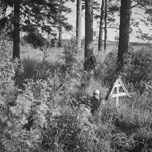 Image of Karjalainen itkuvirsiperinne ja sen uushenkiset tulkinnat nyky-Suomessa (KISUT)
