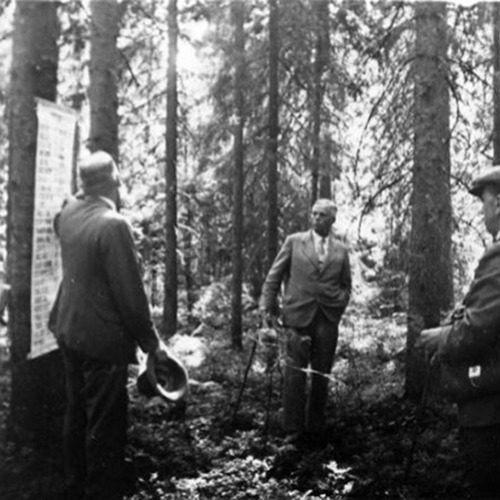 Petäjiköistä puuplantaaseille: suomalainen metsänhoito osana globaalia transimperiaalista metsätiedettä, 1917–1939 profiilikuva